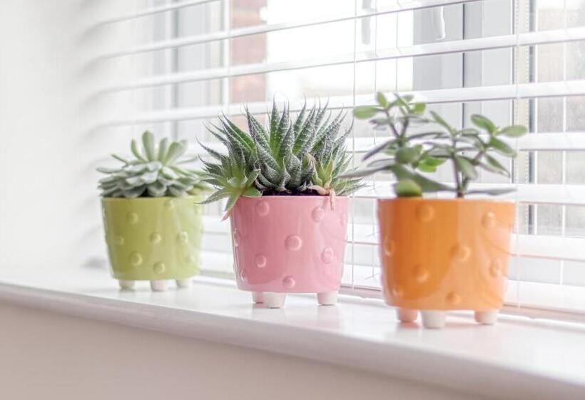 بنسيون Ellinbrook Guest House