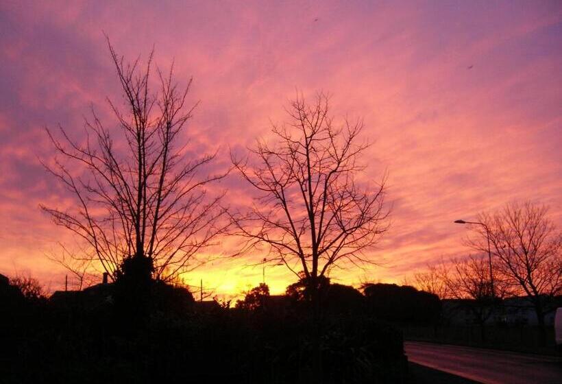 بنسيون Ellinbrook Guest House