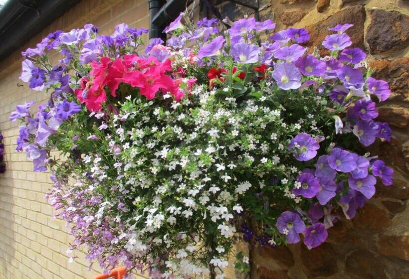 ペンション Gate Lodge Guest House