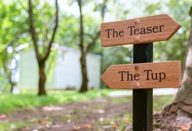 Пансион Great Ashley Farm Bed And Breakfast & Shepherds Huts