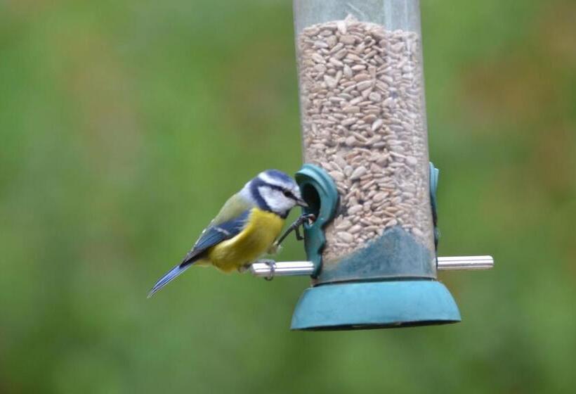 بنسيون Lochview House