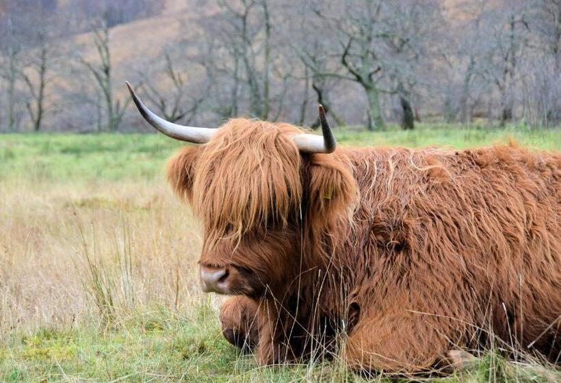 بنسيون Lochview House