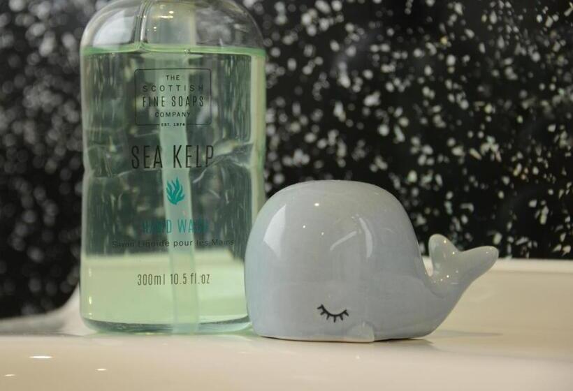 بنسيون Lochview House