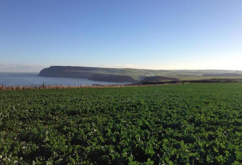 פנסיון Moonfleet Boutique