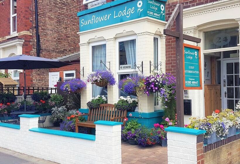 פנסיון Sunflower Lodge