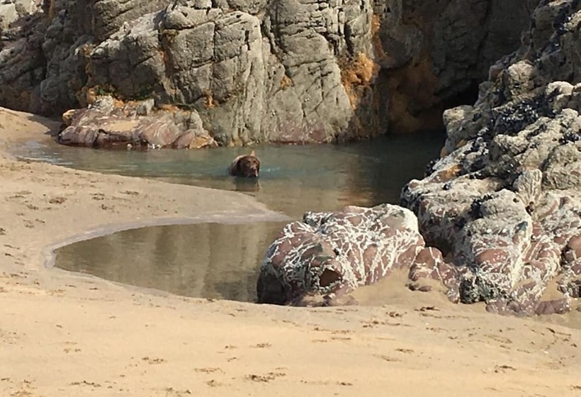 פנסיון Sunrise Guest House