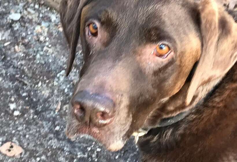 פנסיון Sunrise Guest House