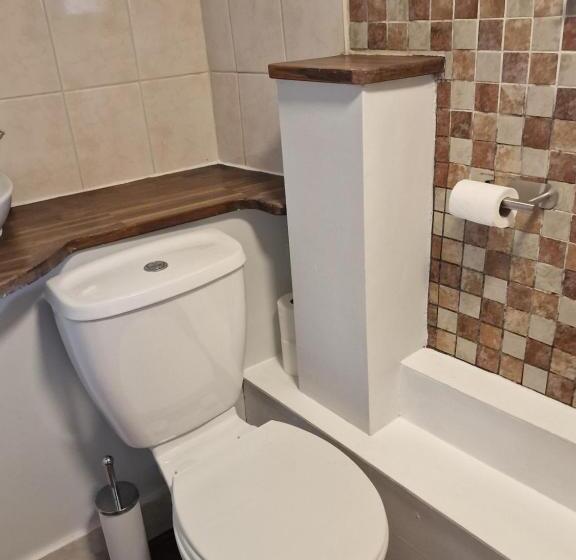 פנסיון Teviotside Travel Inn Ltd