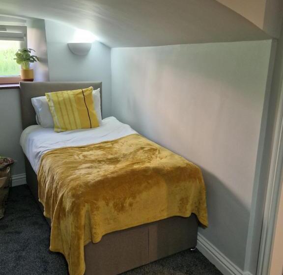 פנסיון Teviotside Travel Inn Ltd