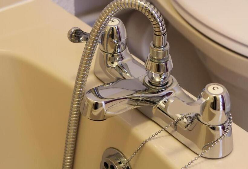 Пансион The Ashley