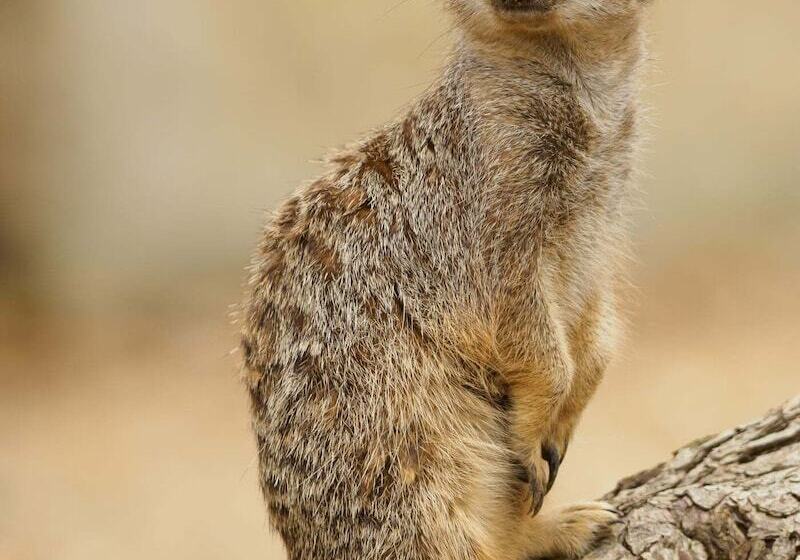 펜션 The Miclaran Guest House