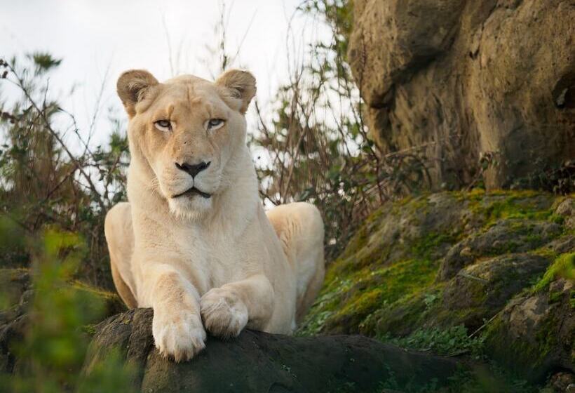 펜션 The Miclaran Guest House