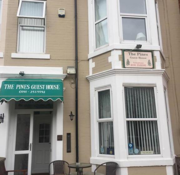 Пансион The Pines Guest House