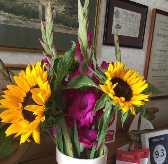 פנסיון Wavecrest