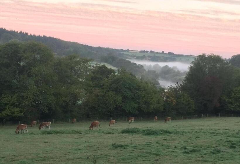 膳宿费 Worralls Grove Guest Farm House