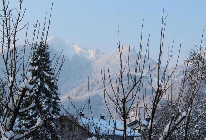 ホテル Fetznhof Zuhaus