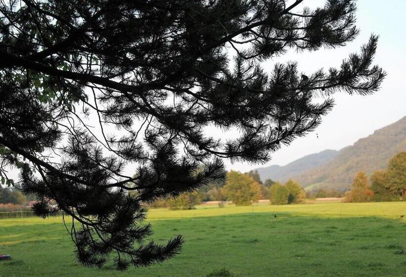 ホテル Fetznhof Zuhaus