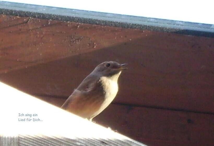 ホテル Fetznhof Zuhaus