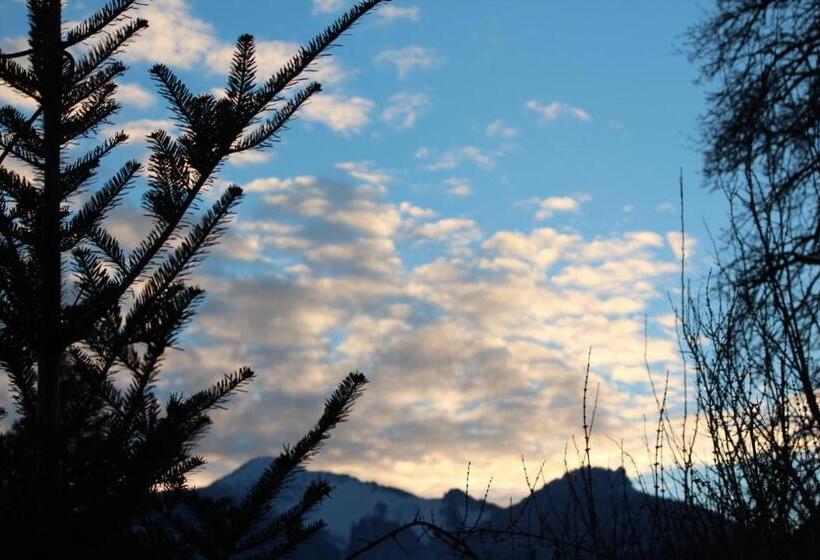 ホテル Fetznhof Zuhaus