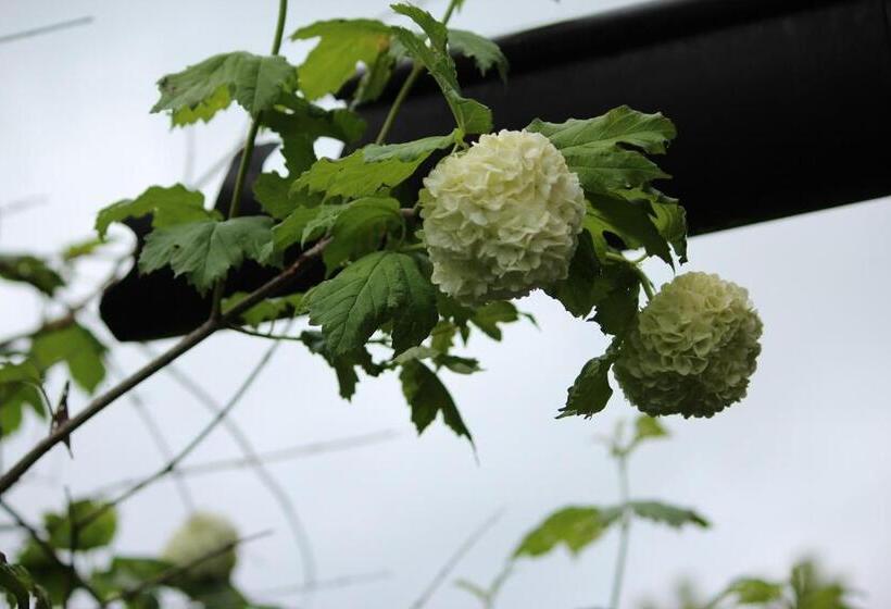 ホテル Fetznhof Zuhaus