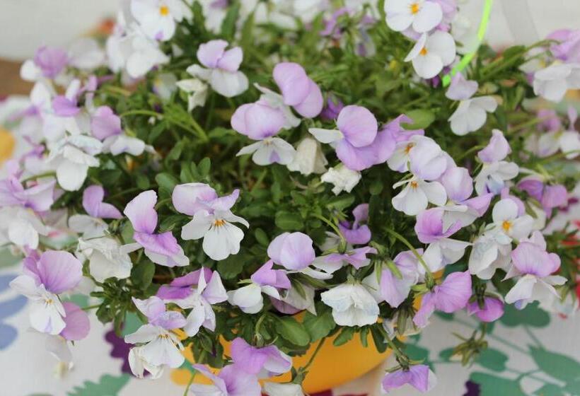 ホテル Fetznhof Zuhaus