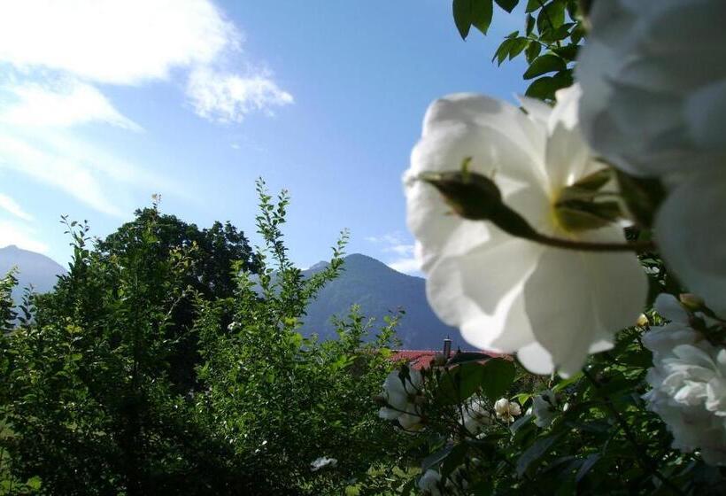 ホテル Fetznhof Zuhaus