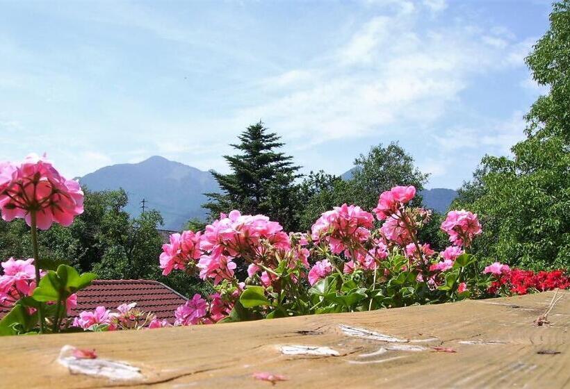 ホテル Fetznhof Zuhaus