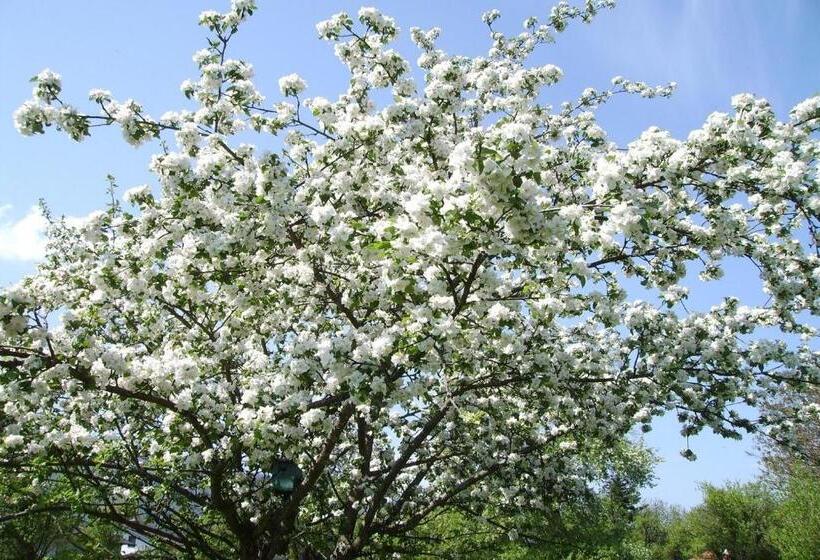 ホテル Fetznhof Zuhaus