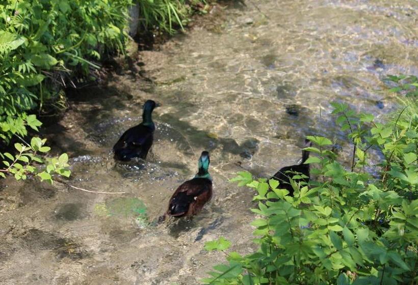 ホテル Fetznhof Zuhaus