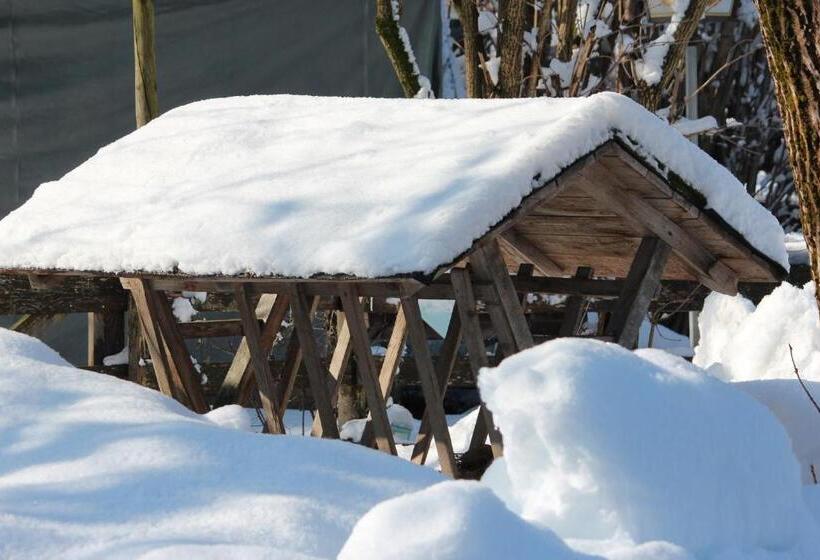 ホテル Fetznhof Zuhaus