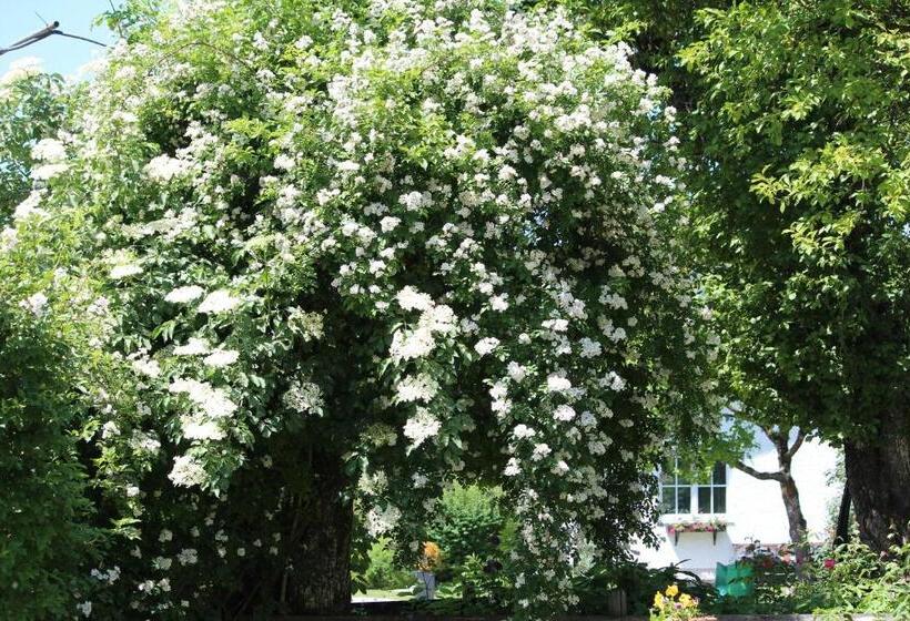 ホテル Fetznhof Zuhaus