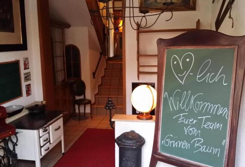 Hotel Landgasthof Grüner Baum   Dittigheim