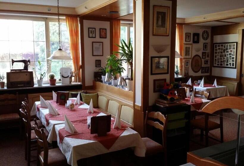 Hotel Landgasthof Grüner Baum   Dittigheim