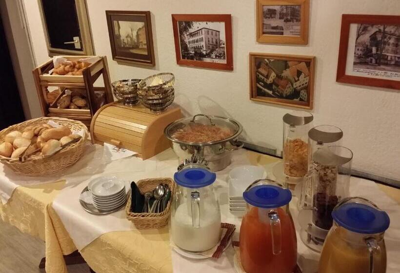 Hotel Landgasthof Grüner Baum   Dittigheim