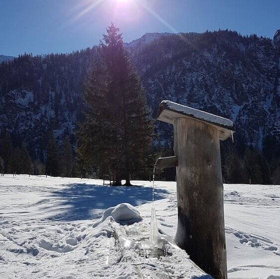 Пансион Steinberger Hof