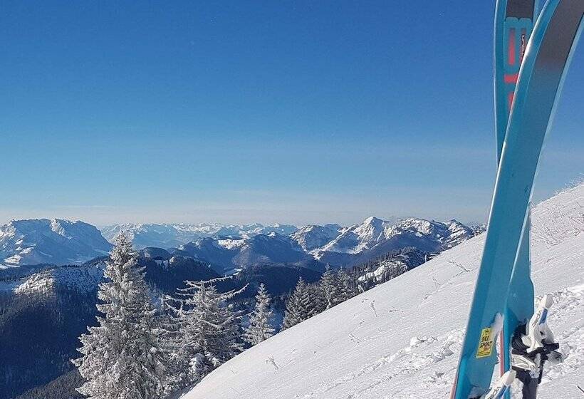 Пансион Steinberger Hof