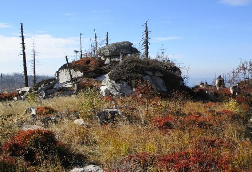 Pension Philippsreut Zum Pfenniggeiger Am Goldsteigwanderweg