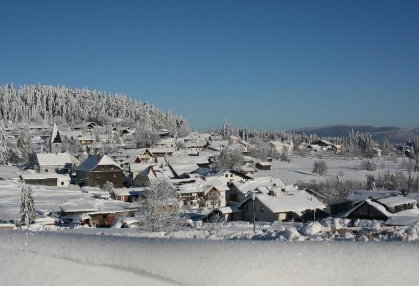Pension Philippsreut Zum Pfenniggeiger Am Goldsteigwanderweg