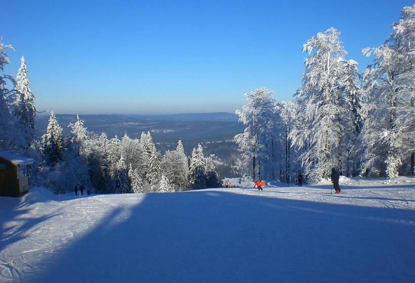 Pension Philippsreut Zum Pfenniggeiger Am Goldsteigwanderweg