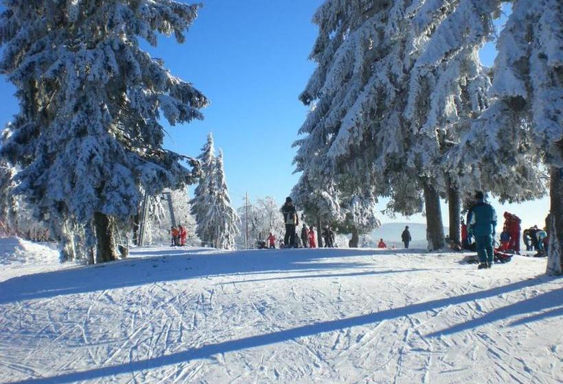 Pension Philippsreut Zum Pfenniggeiger Am Goldsteigwanderweg