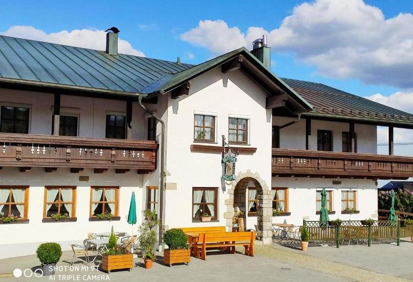 Pension Philippsreut Zum Pfenniggeiger Am Goldsteigwanderweg