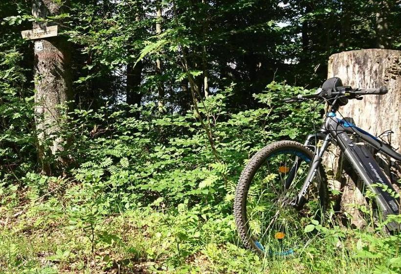 Pension Philippsreut Zum Pfenniggeiger Am Goldsteigwanderweg