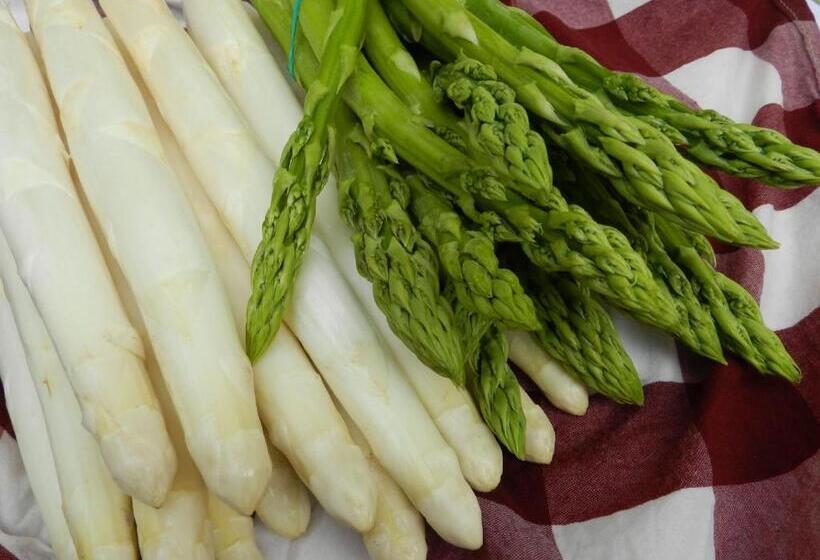 호스텔 Gästehaus Am Westtor