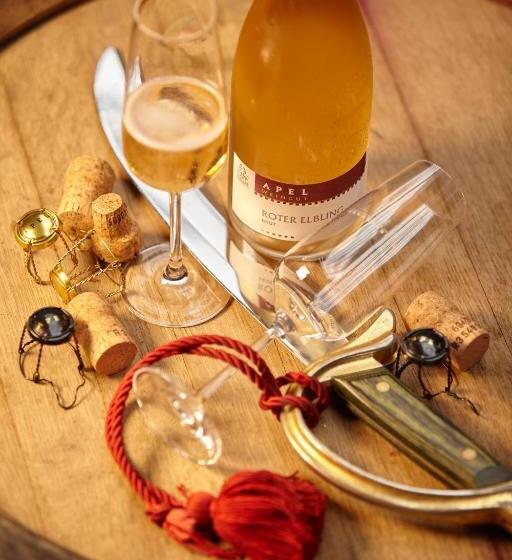 ユースホステル Weingut Und Gästehaus Apel