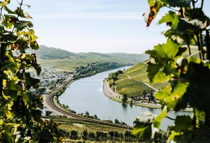 הוסטל Weingut Und Gästehaus Apel