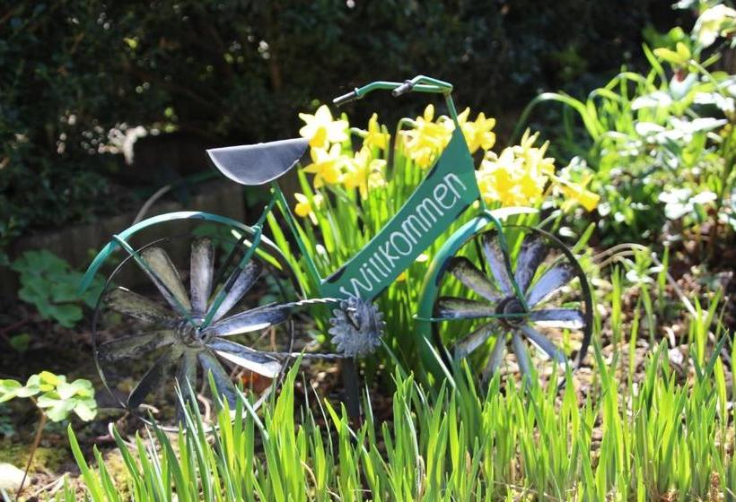 Пансион Ferienhaus Stein