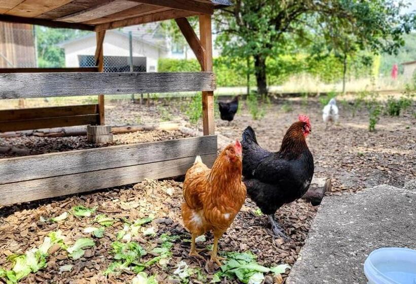 펜션 Gasthof Buchberger