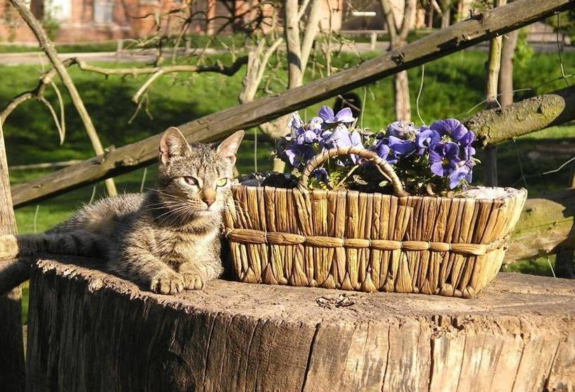 بنسيون Gefildehof Göpel