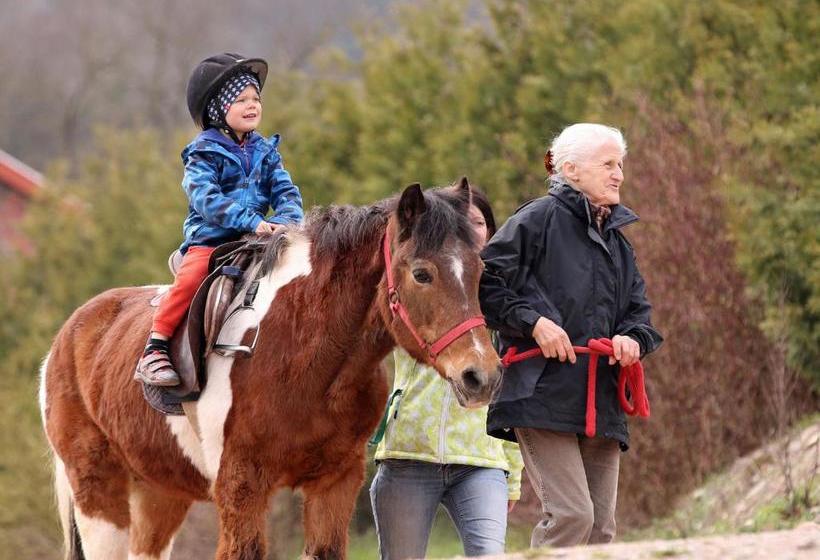 بنسيون Gefildehof Göpel