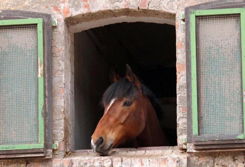 بنسيون Gefildehof Göpel